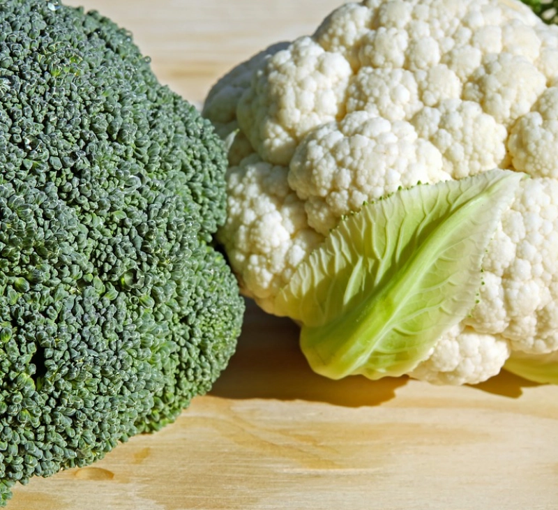 Congelar en casa con THERMOMIX®